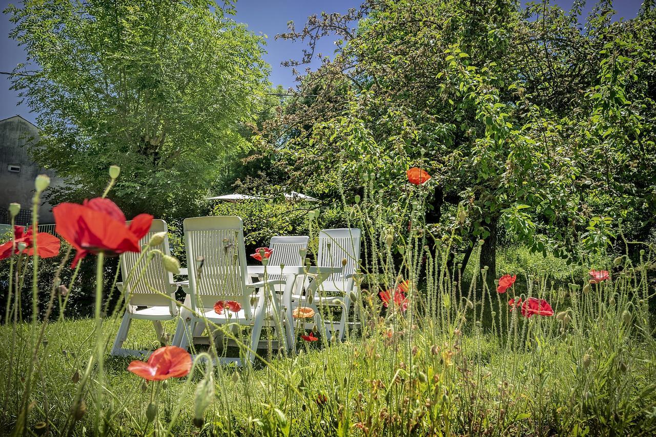 Logis Hotel Restaurant Le Mont Aigoual Meyrueis Exterior photo